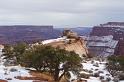 Canyonlands26012010 (24)